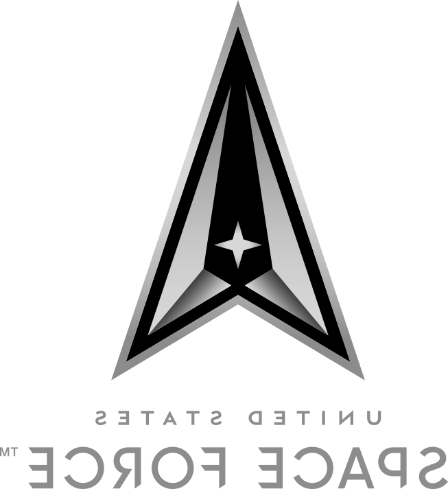 United States Space Force logo